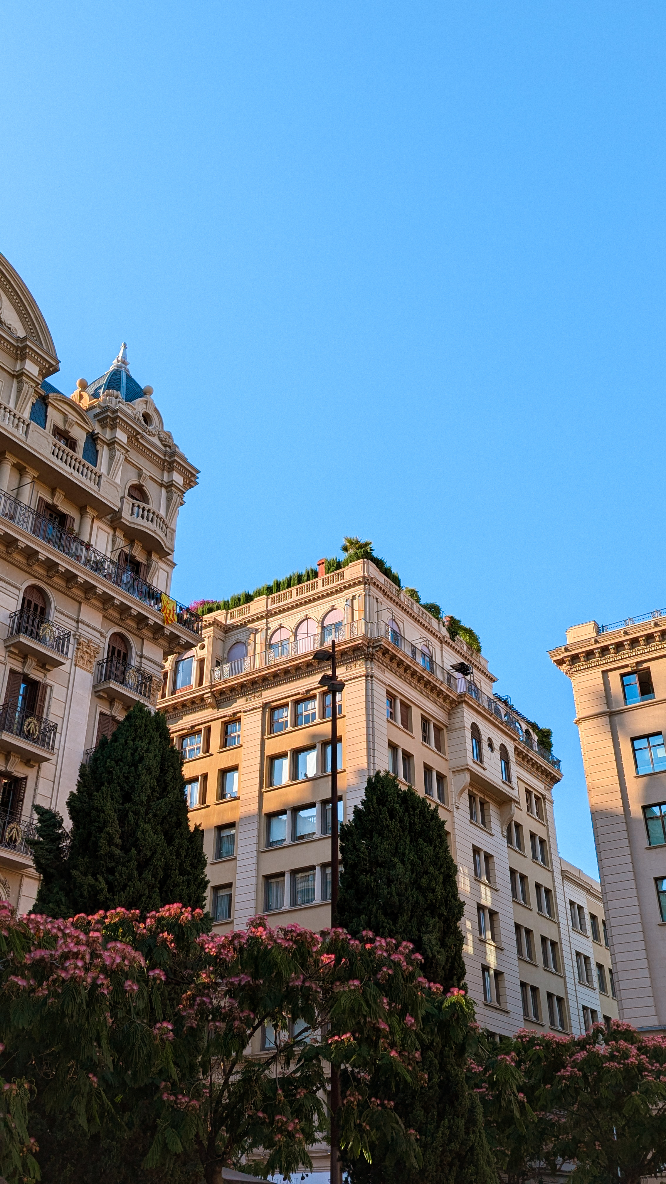 logement a vendre a Montpellier— Abri Immobilier